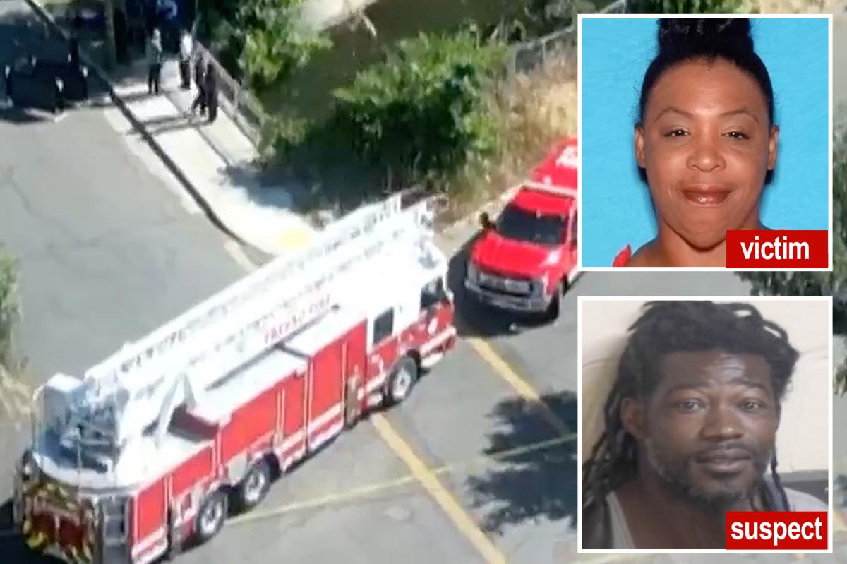 Horror as two bodies are discovered in creepy canal: 'Not random'