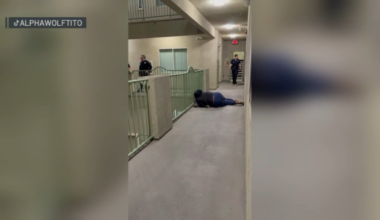 Knicks celebration ends with dog shot by police in Canoga Park – NBC Los Angeles