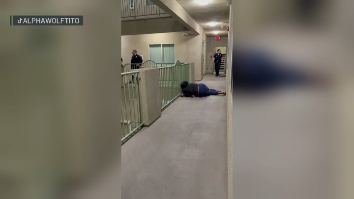 Knicks celebration ends with dog shot by police in Canoga Park – NBC Los Angeles
