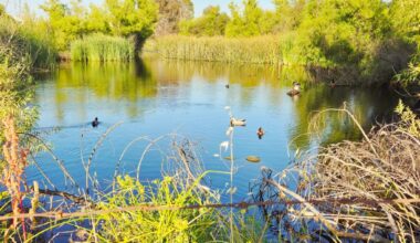 Ramona Photo of the Week – San Diego Union-Tribune