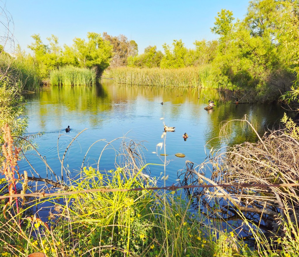Ramona Photo of the Week – San Diego Union-Tribune