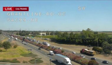Stolen car chase ends in crash on Highway 99 in Elk Grove