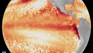 El Niño could hit California economy with flood, supply shocks