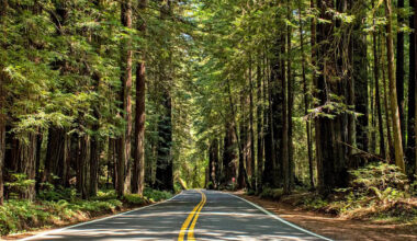 Visit California state historic parks for free with special pass