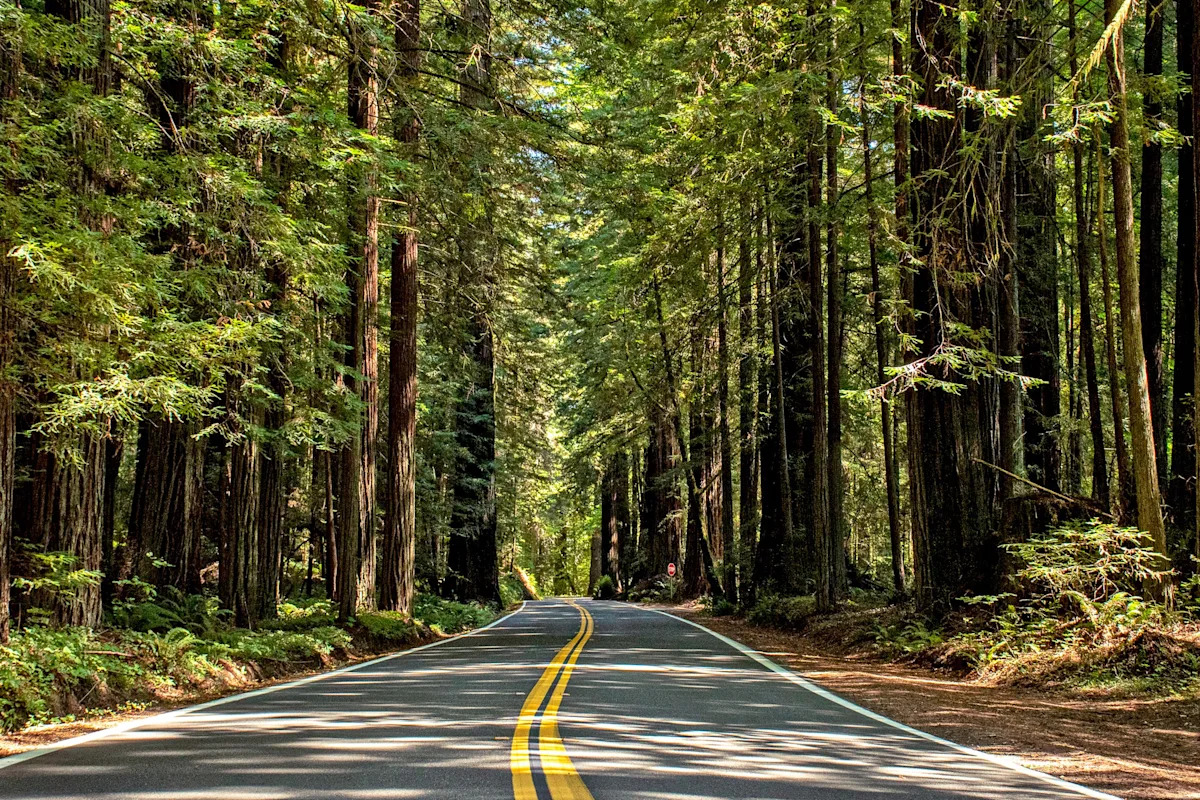 Visit California state historic parks for free with special pass
