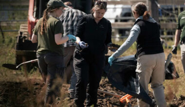 117 dog remains found at California rescue, many with signs of gunshots