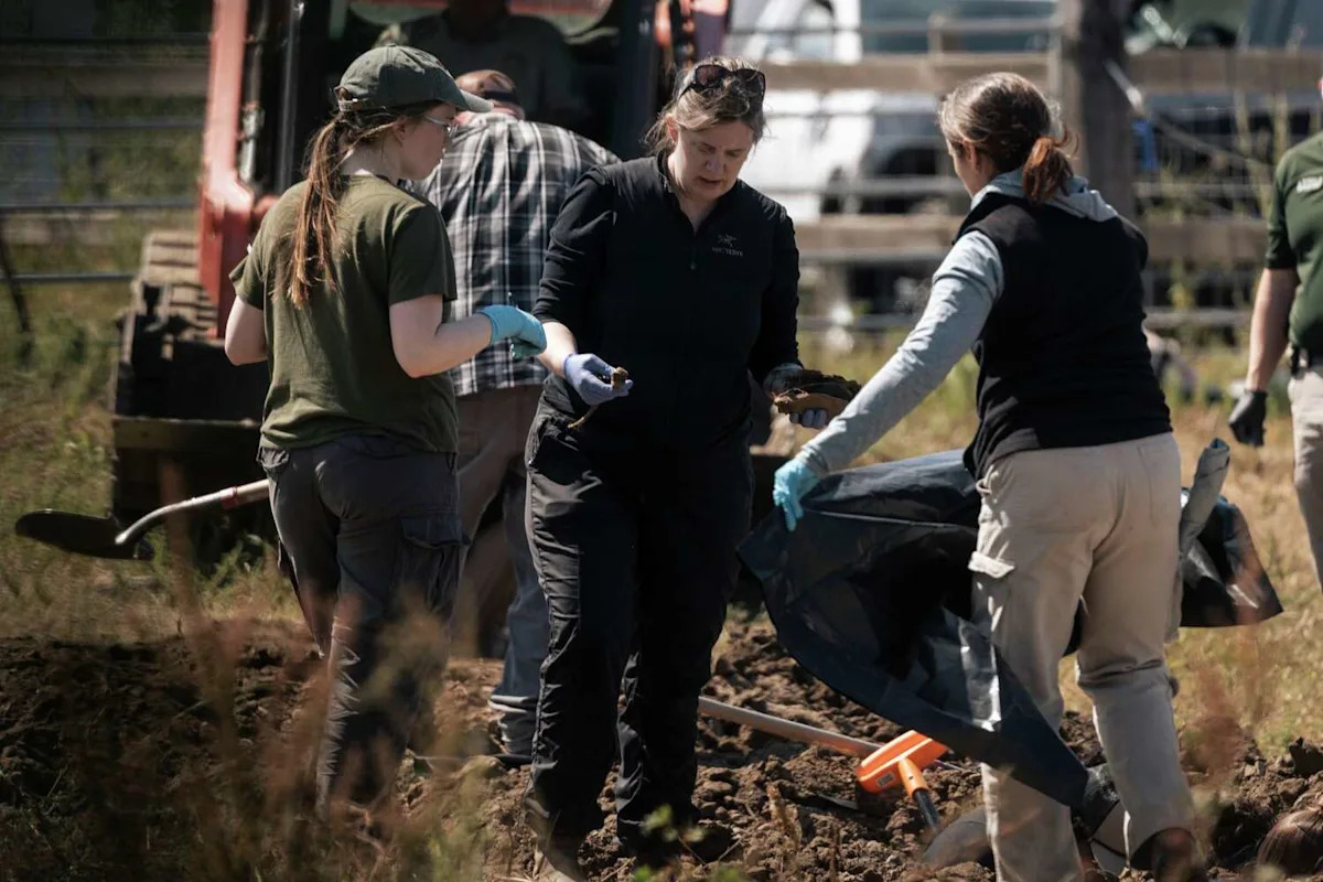 117 dog remains found at California rescue, many with signs of gunshots