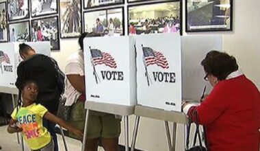 Proposal to allow noncitizen voting in LA won’t be on Nov ballot – NBC Los Angeles