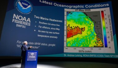 El Niño is here and strengthening rapidly. It could give Long Beach a preview of life after climate change • Long Beach Post News