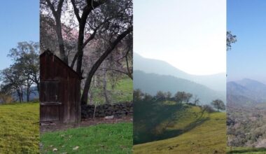 ranch land snippets