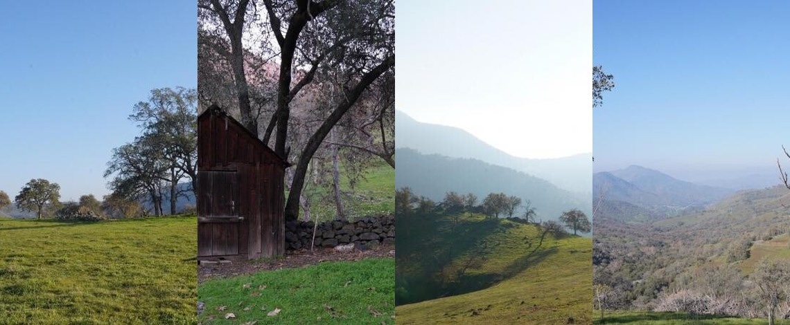 ranch land snippets