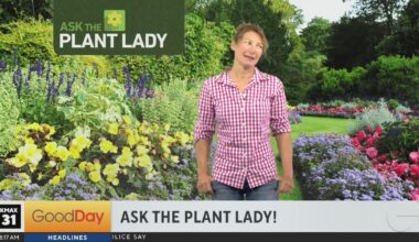 Marlene The Plant Lady 8am (part 1)