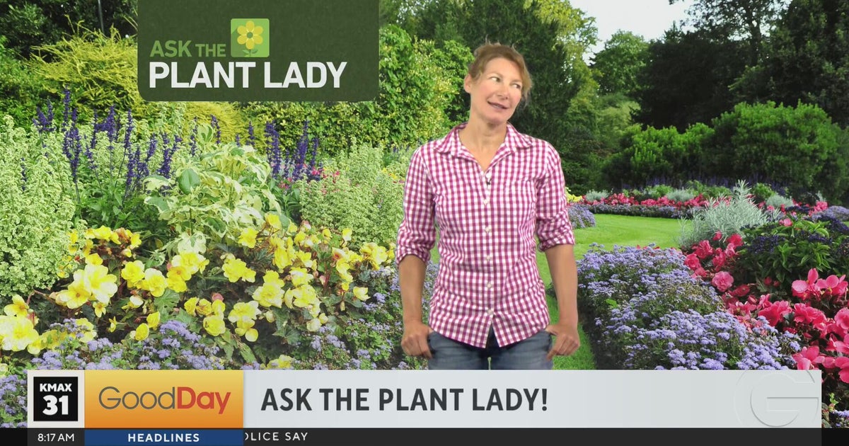 Marlene The Plant Lady 8am (part 1)