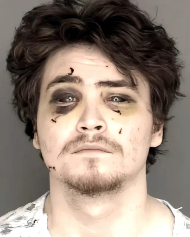 A Canadian gamer who allegedly became obsessed with a woman he met online crossed the border, disguised himself as an Amazon delivery driver and launched a brutal home invasion in California — will now spend the rest of his life behind bars. Monterey County Sheriff's Office