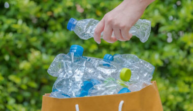 US states sue California over single-use plastic law