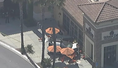 Tesla Driven by Elderly Woman Strikes, Kills Pedestrian Before Crashing Into California Restaurant