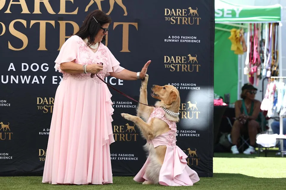 Dianne receives a high-five from her Golden Retriever, Maple Cider. Jonathan Alcorn for CA Post