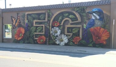 Elk Grove mural festival transforms historic buildings into large-scale public art