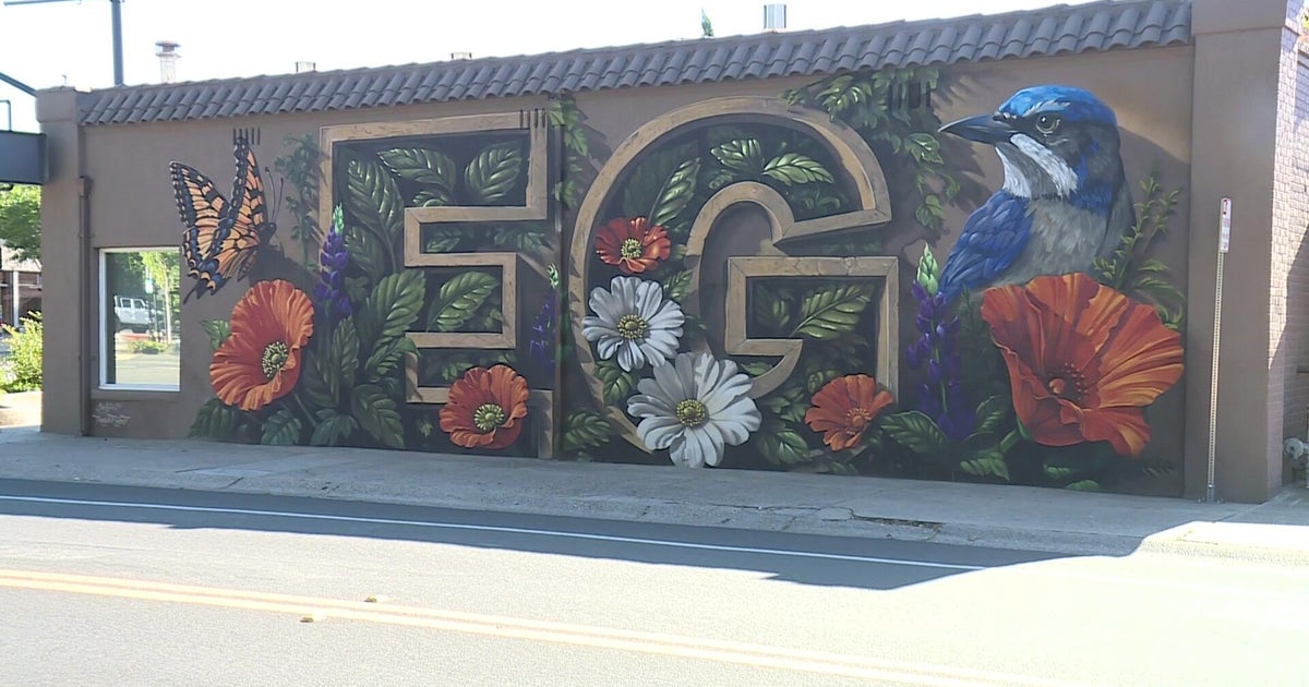 Elk Grove mural festival transforms historic buildings into large-scale public art