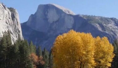 California launches free state historic parks pass for Juneteenth and 250th anniversary