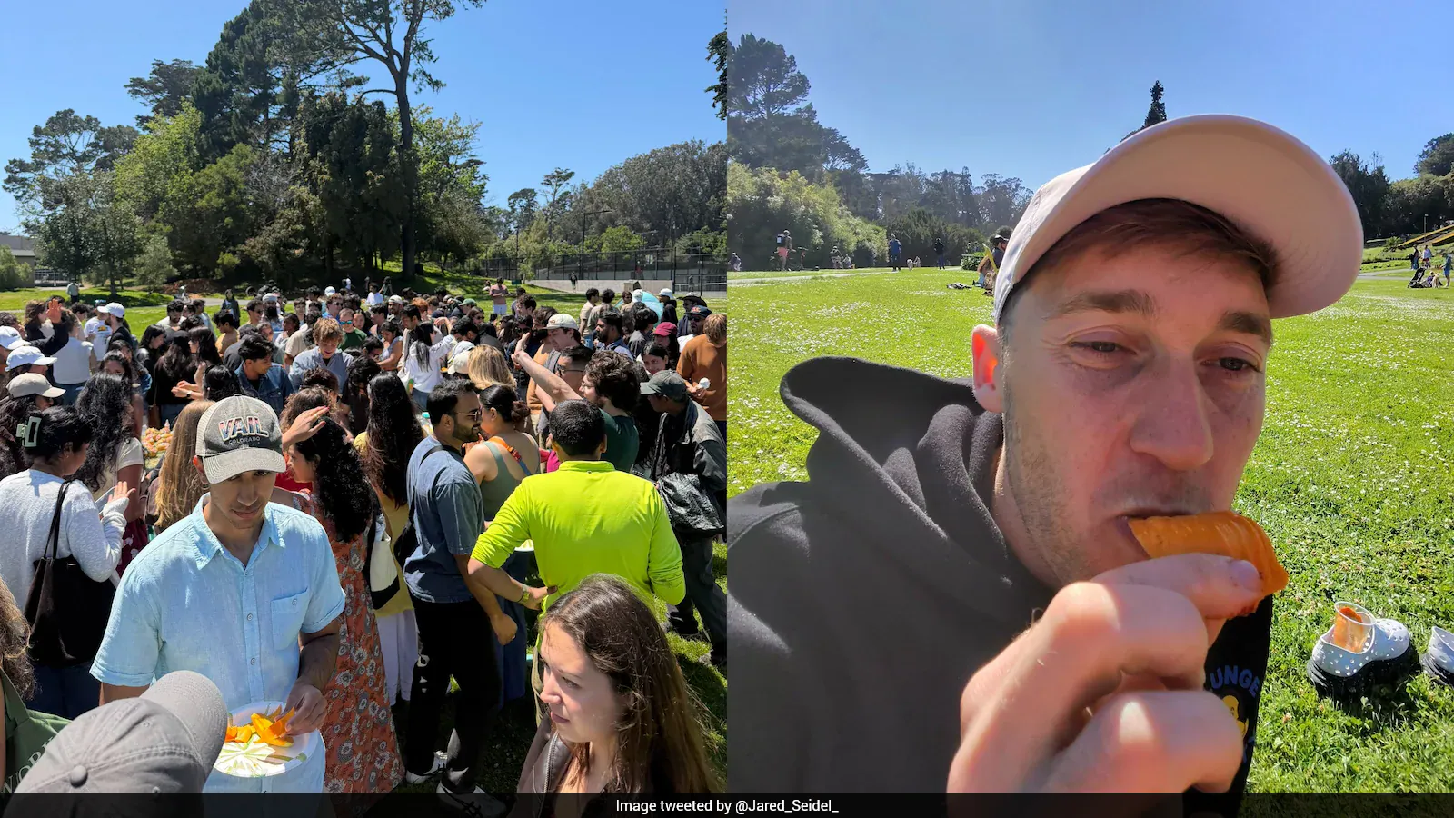 Free Indian Mango Party Attracts Massive Crowds In San Francisco: "Incredible Vibes"