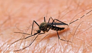 Long Beach officials confirm first California case of human West Nile virus in 2026