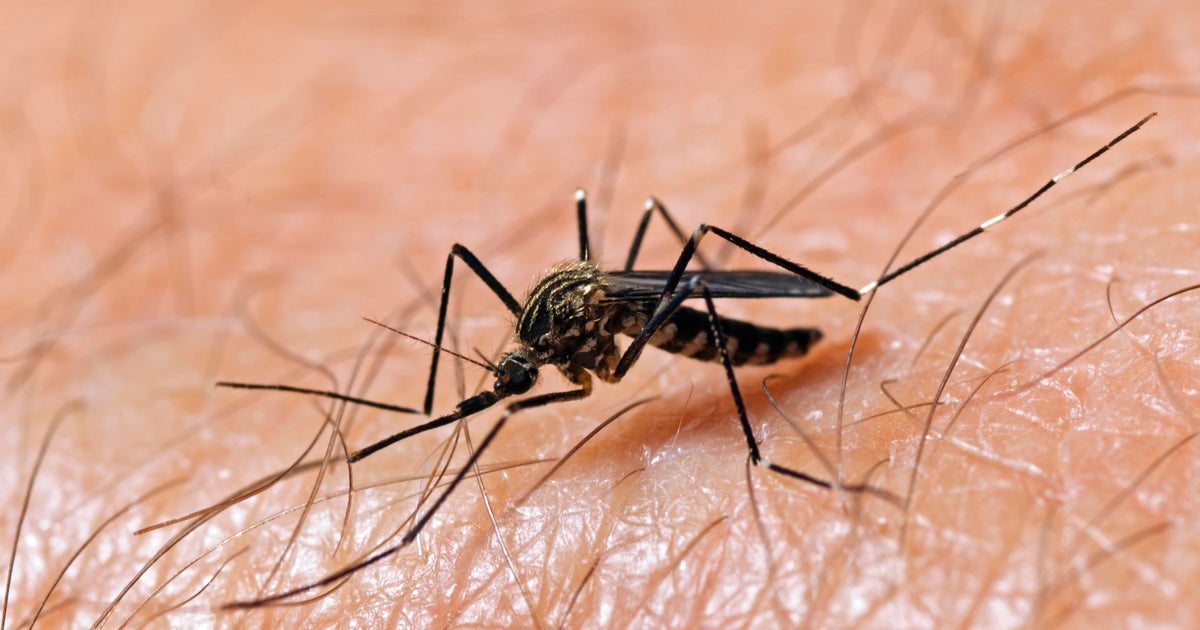 Long Beach officials confirm first California case of human West Nile virus in 2026
