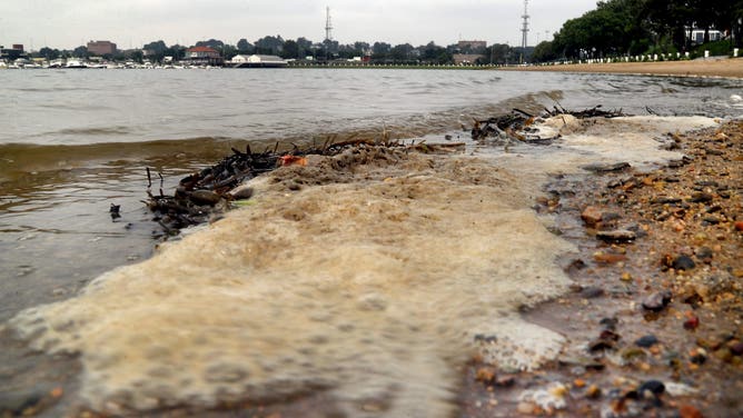Boston, MA - July 18: Savin Hill Beach doesn't look inviting and is closed due to high levels of bacteria.