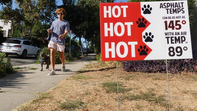 LOS ANGELES, CALIFORNIA - SEPTEMBER 04: A person walks with a dog in the morning, before temperatures climb, past a sign warning of hot asphalt temperatures on September 04, 2024 in Los Angeles, California.