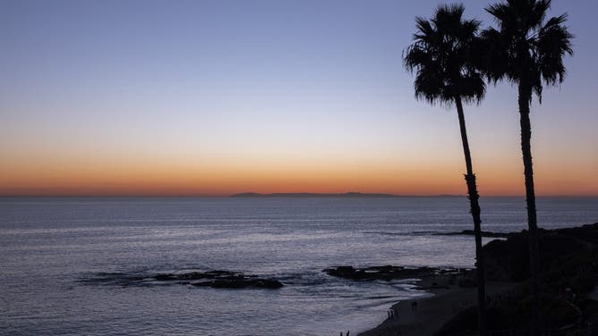 LAGUNA BEACH, CALIFORNIA - NOVEMBER 8: Palm trees line the coast as the sun sets on Treasure Island Beach on a fall day on November 8, 2024, in Laguna Beach, California.