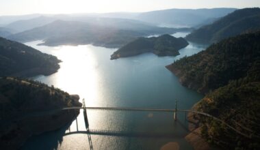 Dog killed by bear after chasing cubs near Lake Oroville