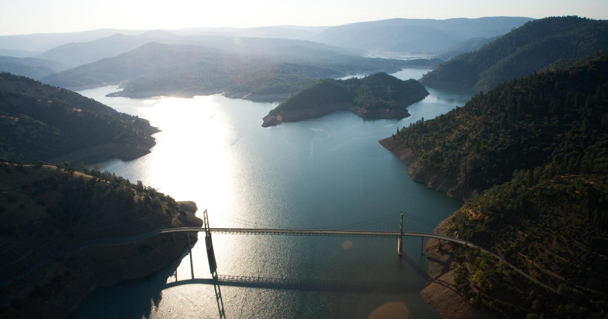 Dog killed by bear after chasing cubs near Lake Oroville