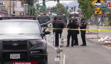 Woman arrested after car fire, swung stick at Oakland officer: witness