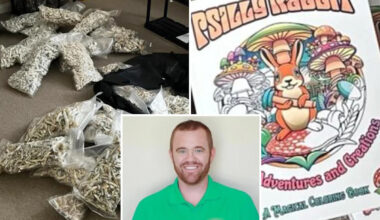San Diego man pleads guilty to dosing his kids with ‘magic mushrooms’