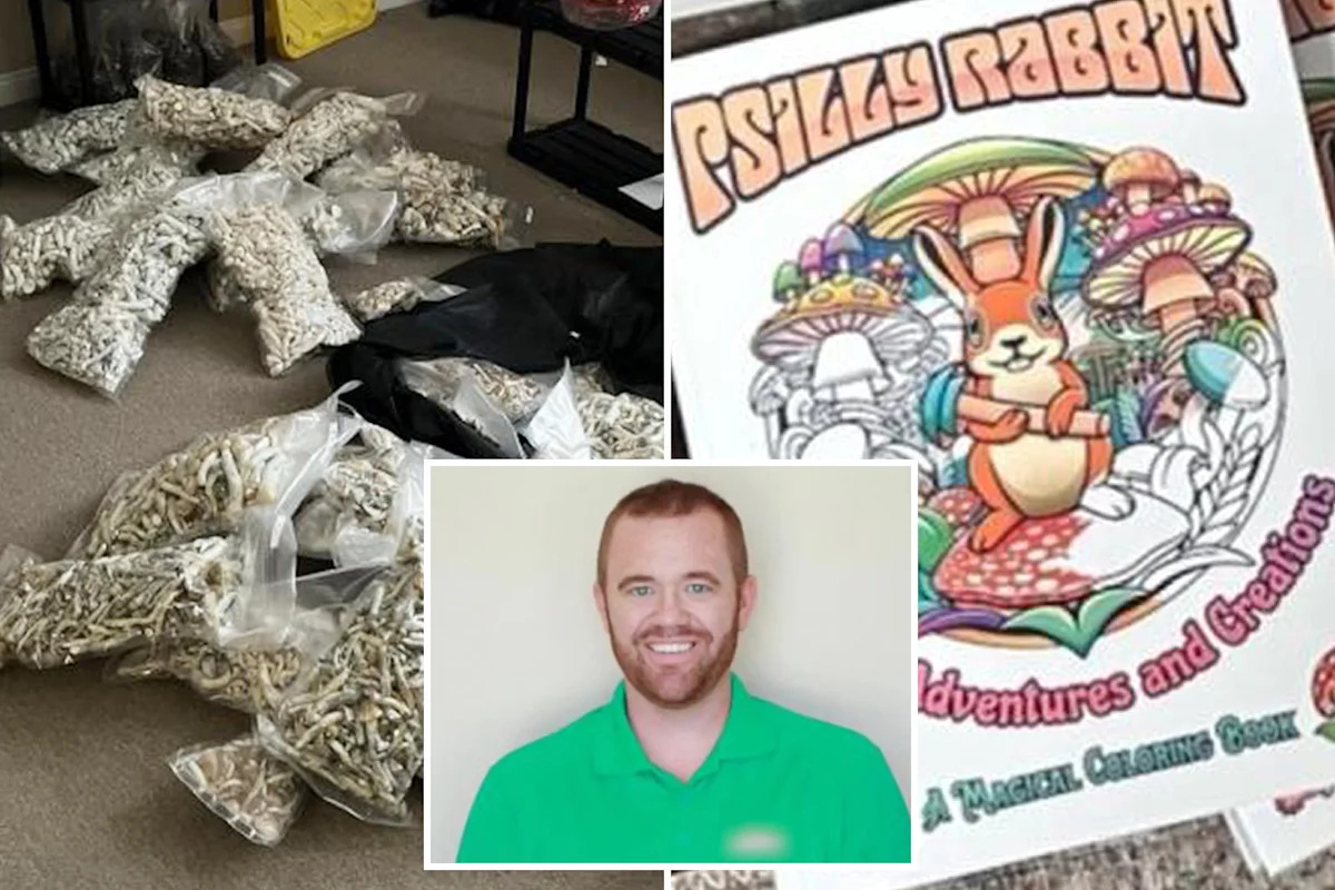 San Diego man pleads guilty to dosing his kids with ‘magic mushrooms’