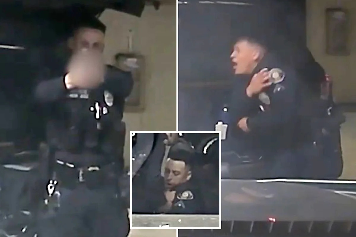 Bizarre moment California cop shoots his partner in ‘horseplay’