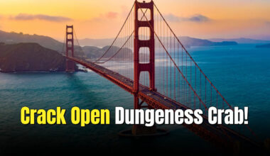 What to Eat During a Trip to San Francisco