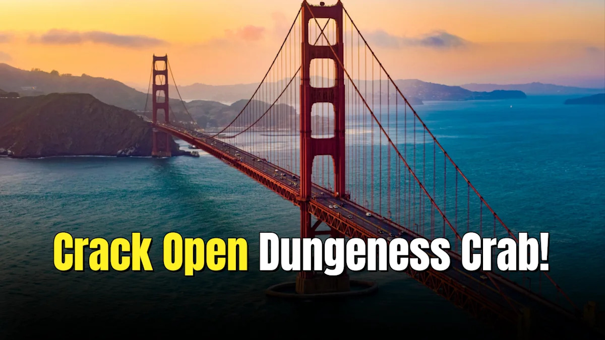 What to Eat During a Trip to San Francisco