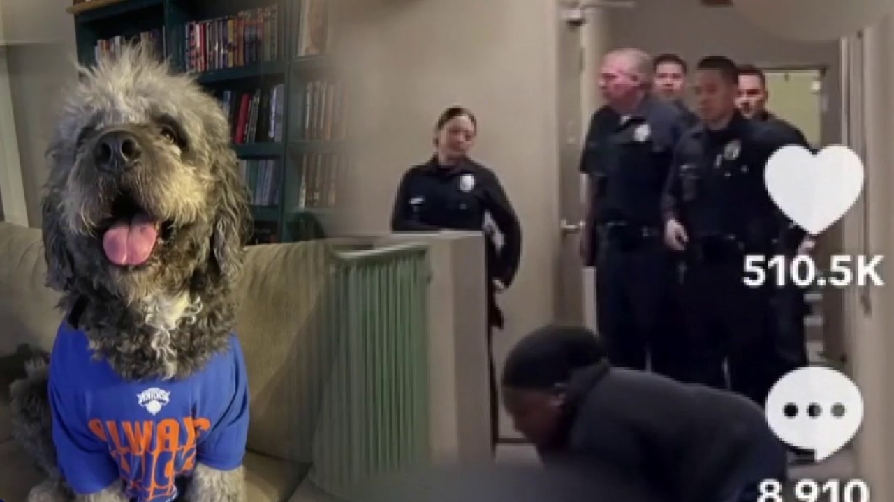 PREVIOUS COVERAGE: Woman says LAPD officer shot and killed her dog