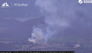 Rancho Bernardo vegetation fire stopped by firefighters – NBC 7 San Diego