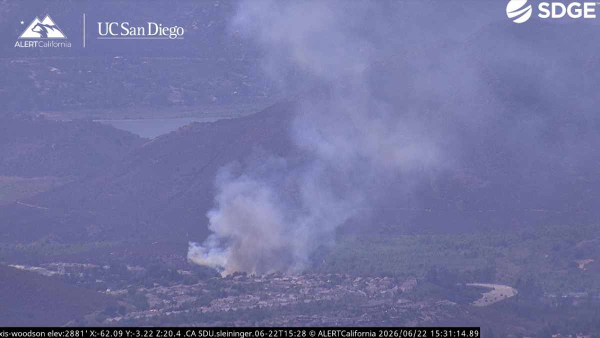 Rancho Bernardo vegetation fire stopped by firefighters – NBC 7 San Diego