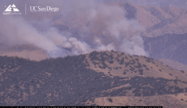 Lemon Fire burns near Palmdale, Cal Fire says – NBC Los Angeles
