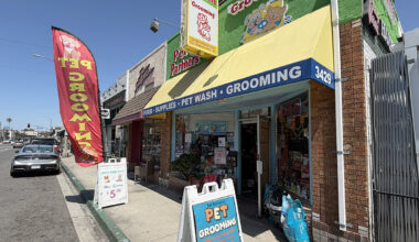Local pet store asks for help finding burglar who stole cash, dog treats • Long Beach Post News