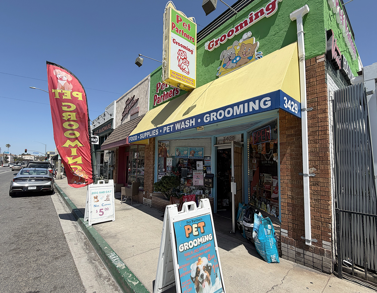 Local pet store asks for help finding burglar who stole cash, dog treats • Long Beach Post News