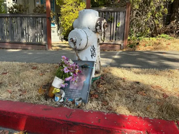 North Berkeley crashes inspire street safety upgrades