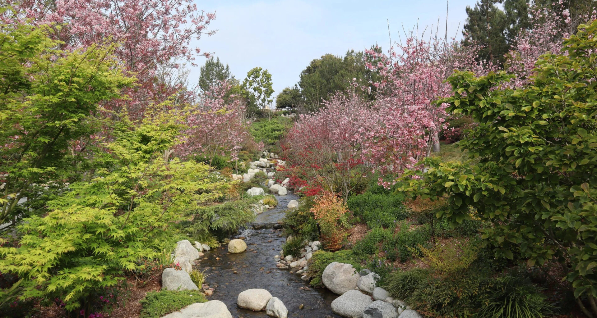 Japanese Friendship Garden & Museum Hosts Ikigai Wellness Retreat This Month