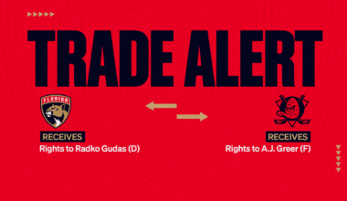 Florida Panthers Acquire Rights to Defenseman Radko Gudas