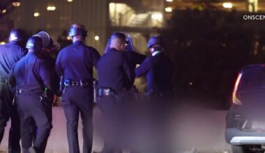 LAPD identifies gunman killed after 405 Freeway chase
