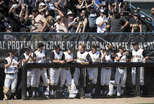 Long Beach State bench gets pumped up as the runners get on the base during the game 3 of Super Regional against the Cal State Fullerton at Blair Field in Long Beach on Sunday, June 11, 2017. (Photo by Kyusung Gong/Orange County Register/SCNG)