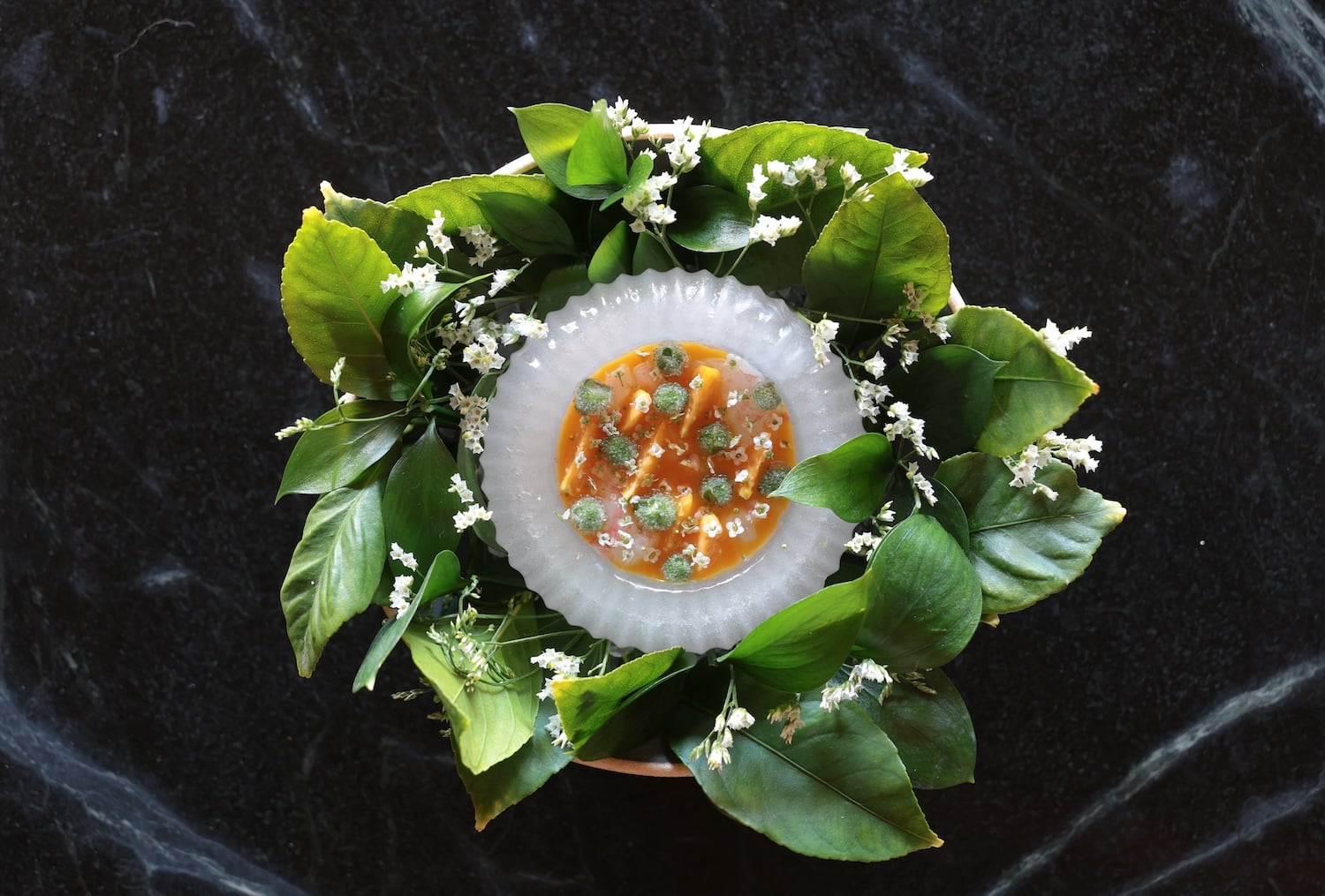 Michelin Chooses San Diego for Its Big Show